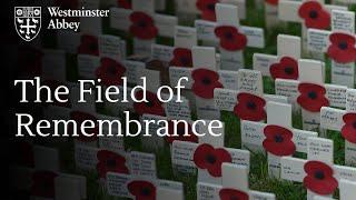 The Field of Remembrance at Westminster Abbey