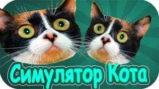 Симулятор Кота