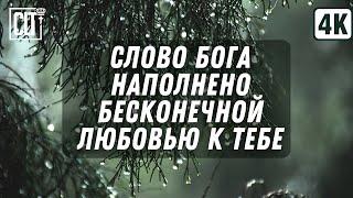 Крепкий сон под шум весеннего дождя | О любви Господа | Relaxing | Библейские стихи