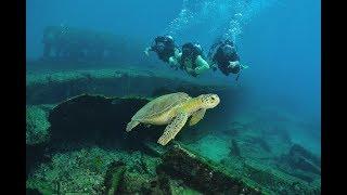 Fernando de Noronha  - Brazil Ecotour