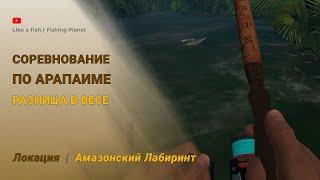 Fishing Planet - Соревнование по Арапаиме (разница в весе) на локации Амазонский Лабиринт