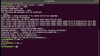 How to install Node Js using a PPA  - Install Node JS in Ubuntu Linux