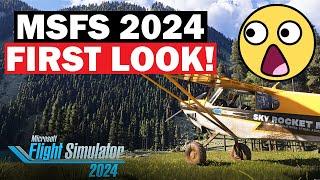 Microsoft Flight Simulator 2024 FIRST LOOK! MIXED EMOTIONS? (Tech ALPHA TEST) -