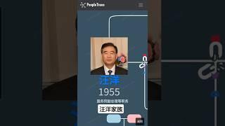 汪洋家族 #汪洋 #省委书记 #广东 #国务院副总理 #祝玛丽 #红杉中国 #汪溪沙 #张辛亮 #辛夷资本