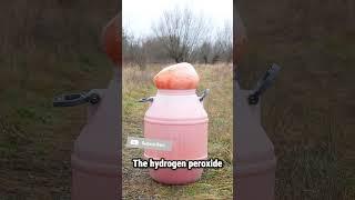 25 Seconds of Foamy Madness  – Elephant Toothpaste in Action!