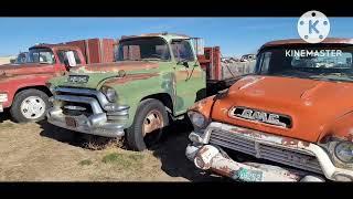 More of HUGE COLLECTION of vintage cars & trucks at abandoned WWII munitions plant! Rob Van Vleet