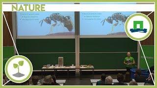 Jitte Groothuis: A look inside the ant brain | WURcast