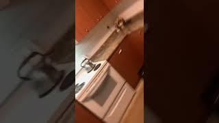 cleaning my kitchen