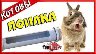 Лучшая поилка для кроликов! Как сделать самому из пластиковой трубы...