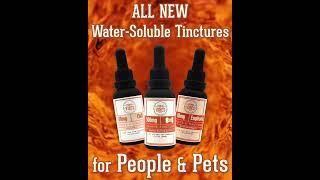 Wellness Alternatives for Pets & People | Water Soluble Tinctures #hempproducts #supplements