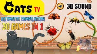 CATS TV - Collection of 30 IN 1 🪰 Best game for cats  Full HD [Cats TV] 3 Hours