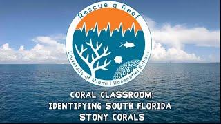 Coral Classroom: Identifying South Florida Stony Corals