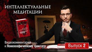 Интеллектуальные медитации. Видеокомментарий к Психософическому трактату: выпуск 2