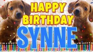 Happy Birthday Synne! ( Funny Talking Dogs ) What Is Free On My Birthday