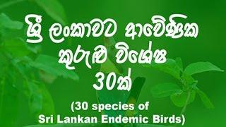 ශ්‍රී ලංකාවට අවේණික කුරුළු විශේ‍ෂ 30ක් List of endemic birds of Sri Lanka