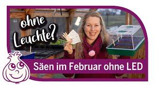 Kalte Anzucht | Aussaaten im Februar ohne Kunstlicht und Anzuchtstation