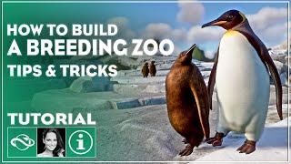 ▶ The Ultimate Guide to Starting a Breeding Zoo in Planet Zoo | Tutorial | Tips & Tricks