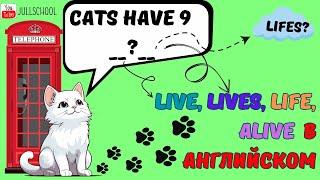  Разбор слов "Live, live, alive и life" в английском языке!  #learnenglish #english #английский