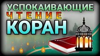 УСПОКАИВАЮЩИЕ ЧТЕНИЕ КОРАН! СЛУШАЕТЕ ПЕРЕД СНОМ!