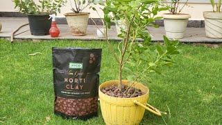 Horti Clay (LECA) - Lightweight Expanded Clay Aggregate | Gardening | Urban gardening | Plant care