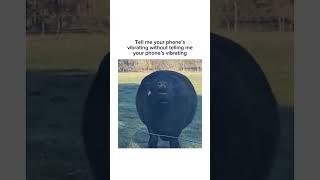 Stay inspired  – subscribe for new content! #funnymemes #humor #animals