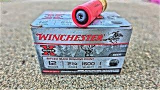 Winchester "SUPER X" Hollow Point 12 Gauge SHOTGUN SLUG! (Ballistics Gel Test)