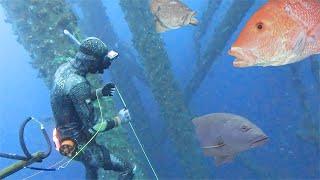 Spearfishing Underwater TOWERS! ASMR Non-Stop Action | Backyard Catch N Cook