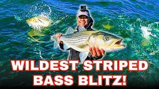 Wildest Striped Bass Blitz Ever Caught on Camera! 70+ Bass Caught!