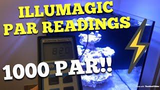 Illumagic Led 1000 PAR!!