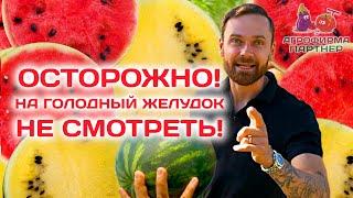 Это стоит увидеть, чтобы попробовать! Самое вкусное видео! #огород #дача