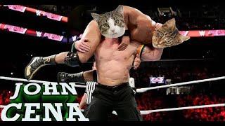 What If john cena was a cat. ( John cena meme ) #funny #shorts #cat #johncena