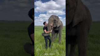 The Adorable Truth About Elephants 
