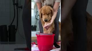 How to Clean Toe Beans