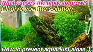 How to prevent and get rid of algae in aquarium ①「Basic ver」ADA nature aquarium,aquatic plants tips