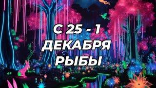 ️️РЫБЫ. ️С 25 - 1 декабря 2024.️