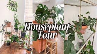 My Full Houseplant Tour 2024 (30 Plants) | Easy to Care for Houseplants | My Indoor Plant Collection