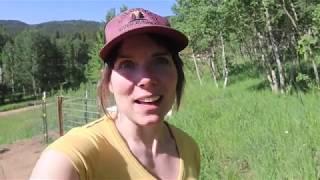 What Grows & Doesn't Grow at High Altitude