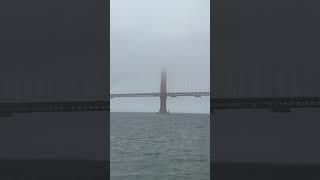 Goldengate#sanfrancisco#bayarea #fun #fyp #youtubeshorts#summer#viral
