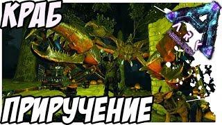 ARK Survival Evolved - ПРИРУЧЕНИЕ КРАБА! TAMING KARKINOS!ARK Aberration!