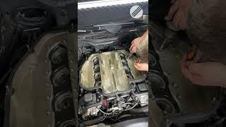 BMW M5 Engine