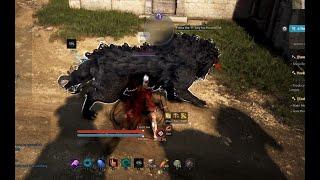 BDO│TAMER CLASS - How to MOUNT Your Companion Heilang - Guide 2024