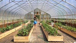The RACE is On to Plant Our 2025 Summer Garden