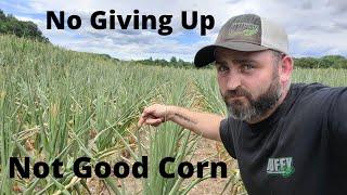 Corn Failed But Duffy AG Will Continue