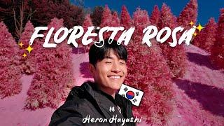 TEM PARQUE ROSA NA COREIA DO SUL? | Heron na Coreia do Sul