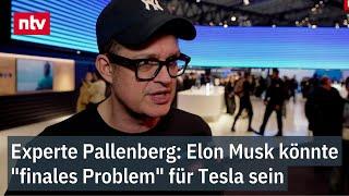 Pallenberg: Musk könnte "finales Problem" für Tesla sein - Einbrechende Absatzzahlen