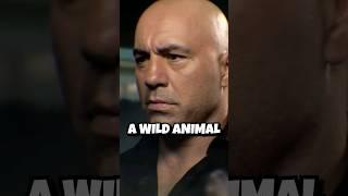 Getting THE WORST ADVICE EVER And Still SUCCEEDING | #joerogan #jre #podcast