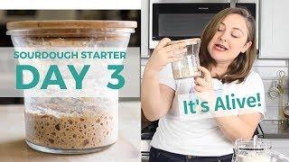 Day 3: How to Make a Sourdough Starter