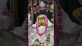 New Year 2025 Mangala Aarti Darshan | ISKCON Ghaziabad | #krishna #radha #radhakrishna #love