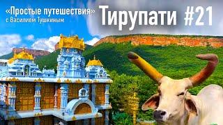 "Простые путешествия" #21 - Тирупати