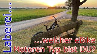 ...welcher eBike Motoren Typ bist DU? // Laberfolge